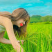 Lưu Kim Ngân